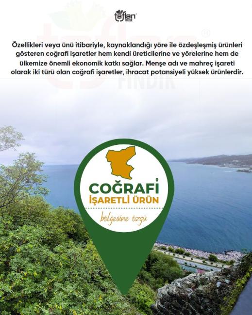 Coğrafi İşaret